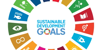 Sustainability Development Goals White Background