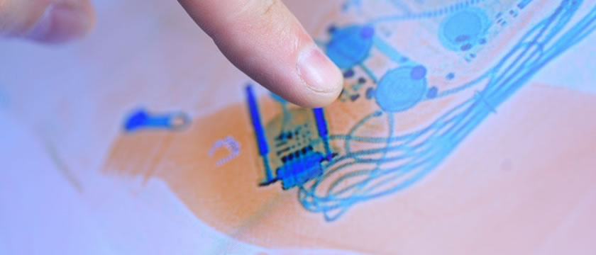 Aviation security x-ray inspection