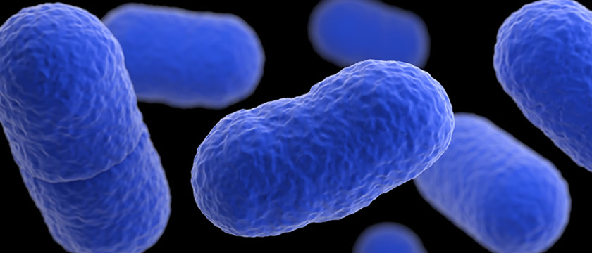 AOAC certification of listeria assay - pathogen