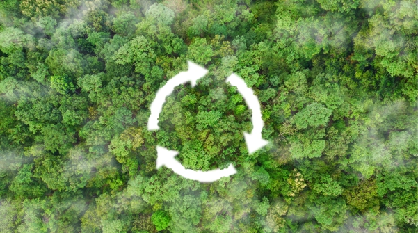 Circular Economy