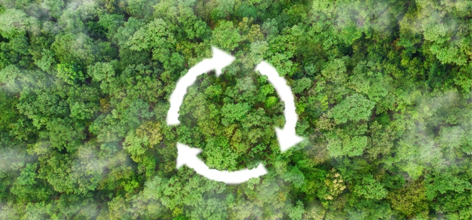 Circular Economy