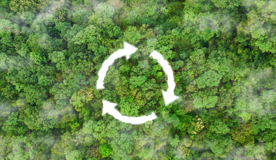 Circular Economy