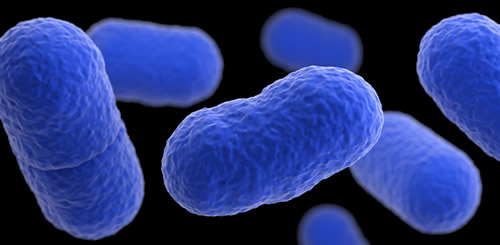 AOAC certification of listeria assay