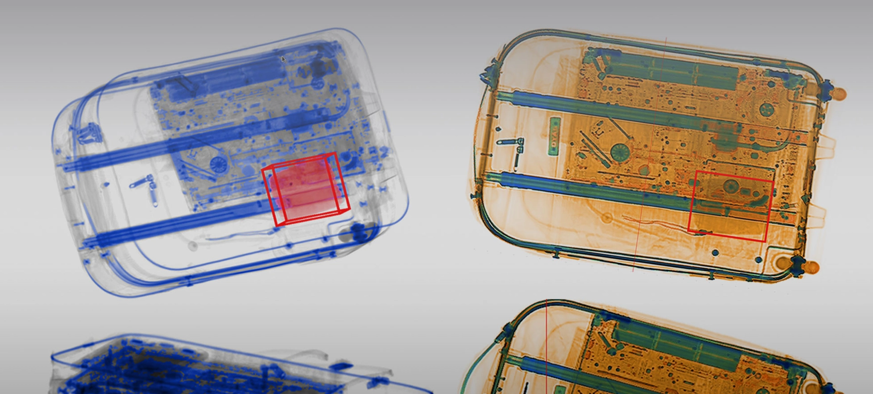 Scanned luggage